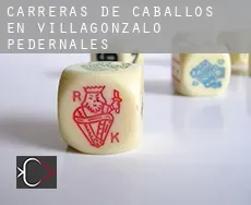 Carreras de caballos en Villagonzalo-Pedernales