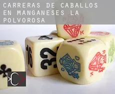 Carreras de caballos en Manganeses de la Polvorosa