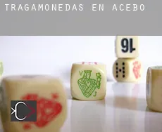 Tragamonedas en  Acebo