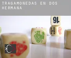 Tragamonedas en Dos Hermanas