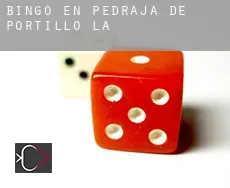 Bingo en  Pedraja de Portillo (La)