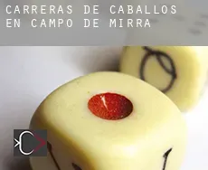 Carreras de caballos en Campo de Mirra / Camp de Mirra