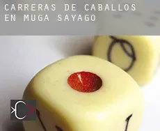Carreras de caballos en  Muga de Sayago