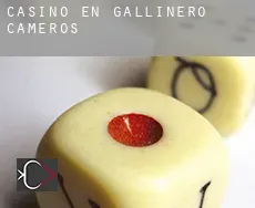 Casino en  Gallinero de Cameros