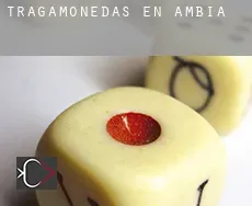 Tragamonedas en  Ambía