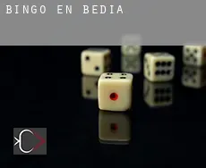 Bingo en Bedia