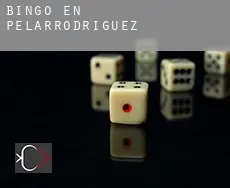 Bingo en Pelarrodríguez