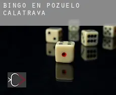 Bingo en  Pozuelo de Calatrava