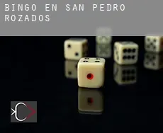 Bingo en  San Pedro de Rozados