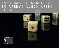 Carreras de caballos en  Arenys de Lledó / Arens de Lledó