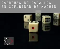 Carreras de caballos en Comunidad de Madrid
