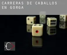 Carreras de caballos en Gorga