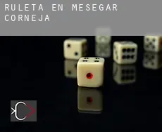 Ruleta en Mesegar de Corneja