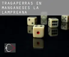 Tragaperras en Manganeses de la Lampreana