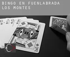 Bingo en  Fuenlabrada de los Montes