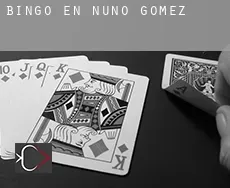 Bingo en  Nuño Gómez