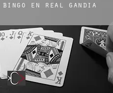 Bingo en Real de Gandía