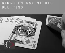 Bingo en  San Miguel del Pino