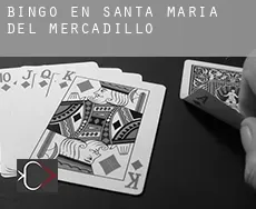 Bingo en  Santa María del Mercadillo