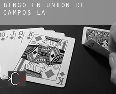Bingo en  Unión de Campos (La)