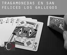 Tragamonedas en  San Felices de los Gallegos