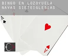 Bingo en  Lozoyuela-Navas-Sieteiglesias