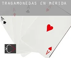 Tragamonedas en Mérida
