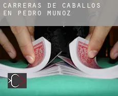 Carreras de caballos en  Pedro Muñoz