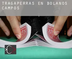 Tragaperras en  Bolaños de Campos
