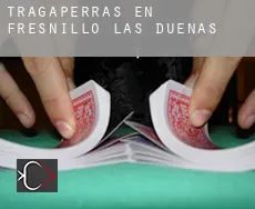 Tragaperras en Fresnillo de las Dueñas
