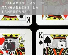 Tragamonedas en  Manganeses de la Lampreana