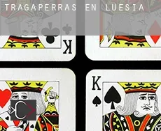 Tragaperras en  Luesia