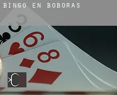 Bingo en  Boborás