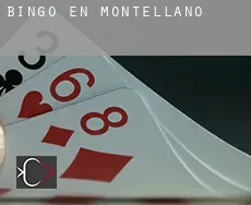 Bingo en Montellano