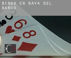 Bingo en  Nava del Barco