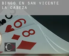 Bingo en San Vicente de la Cabeza