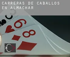 Carreras de caballos en  Almáchar
