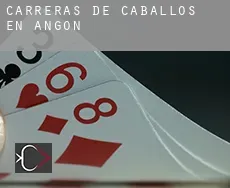 Carreras de caballos en  Angón