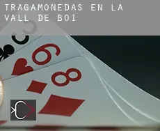 Tragamonedas en  la Vall de Boí