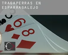 Tragaperras en  Esparragalejo