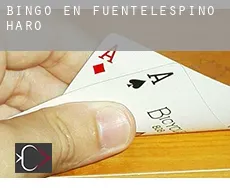 Bingo en  Fuentelespino de Haro