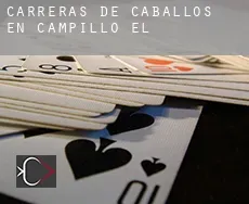 Carreras de caballos en  Campillo (El)
