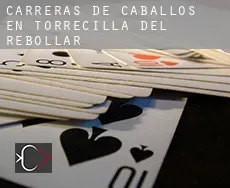Carreras de caballos en  Torrecilla del Rebollar