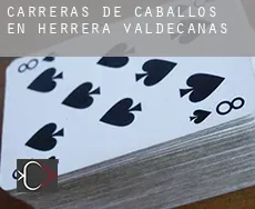 Carreras de caballos en Herrera de Valdecañas