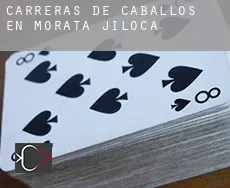 Carreras de caballos en  Morata de Jiloca