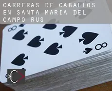 Carreras de caballos en  Santa María del Campo Rus