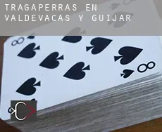 Tragaperras en Valdevacas y Guijar