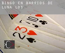 Bingo en Barrios de Luna (Los)