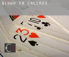 Bingo en  Cáceres