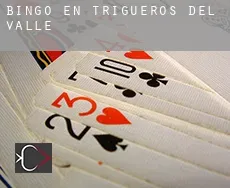 Bingo en  Trigueros del Valle
